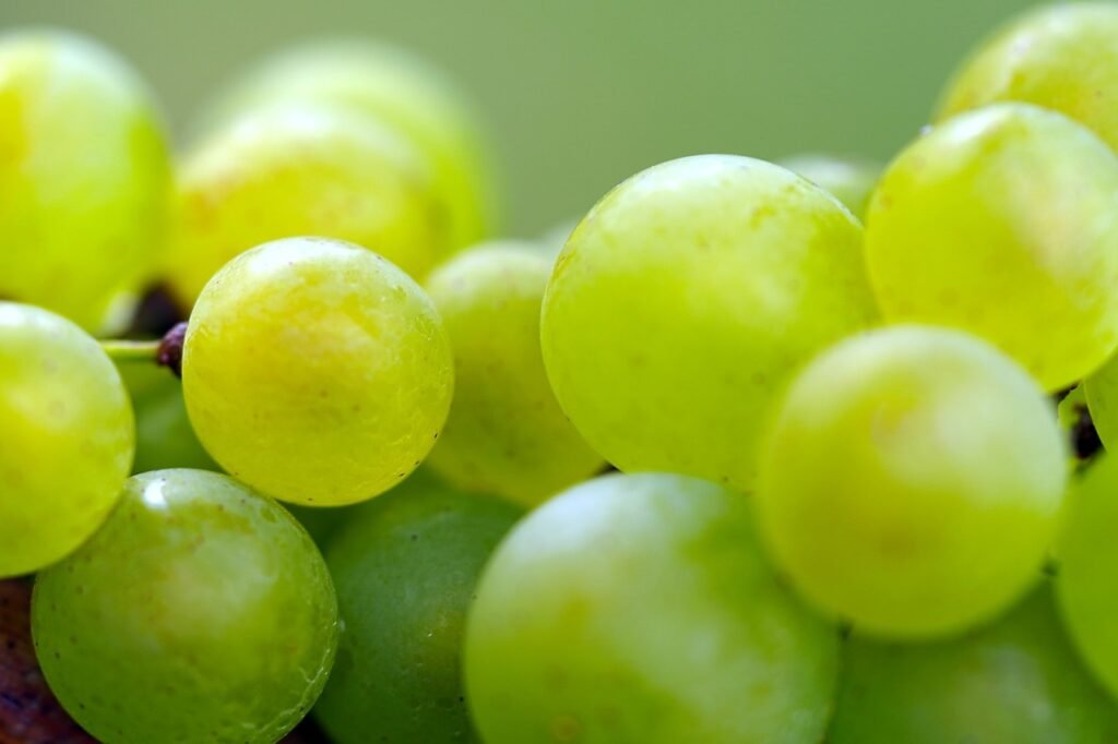 healthy fruit grapes for blood sugar - health